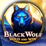 Blackjack tại 95vn5