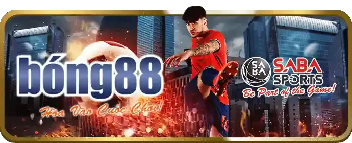 Hỗ trợ khách hàng 24/7 tại 95vn5